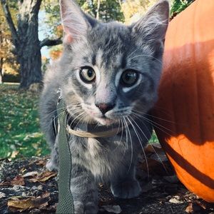 Meet your Posher, Avri